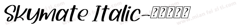 Skymate Italic字体转换